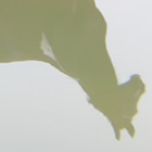 horse2-180